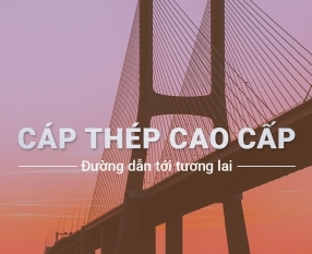 ẢNH HOẠT ĐỘNG 3