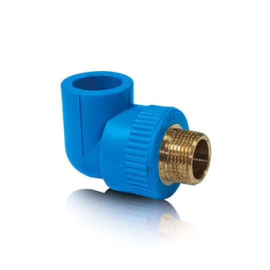 CO REN NGOÀI THAU PPR