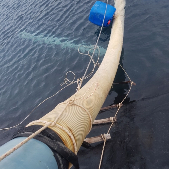 ỐNG GÂN NHỰA TRẮNG D200 CÂY 5M